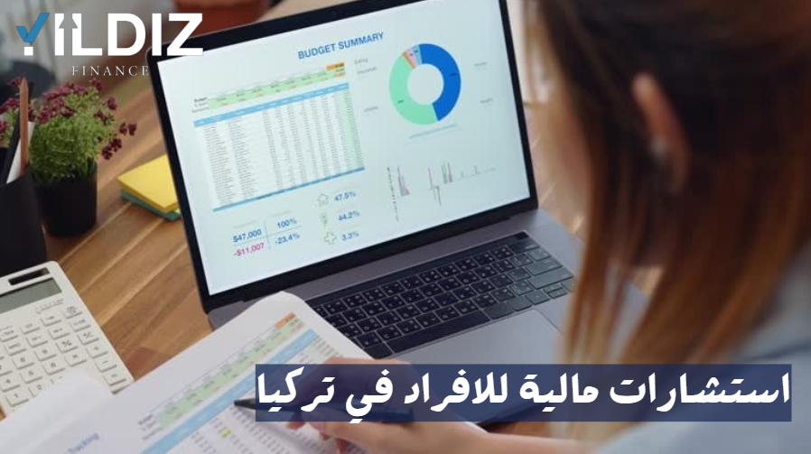 شركات تقدم استشارات مالية للافراد في تركيا