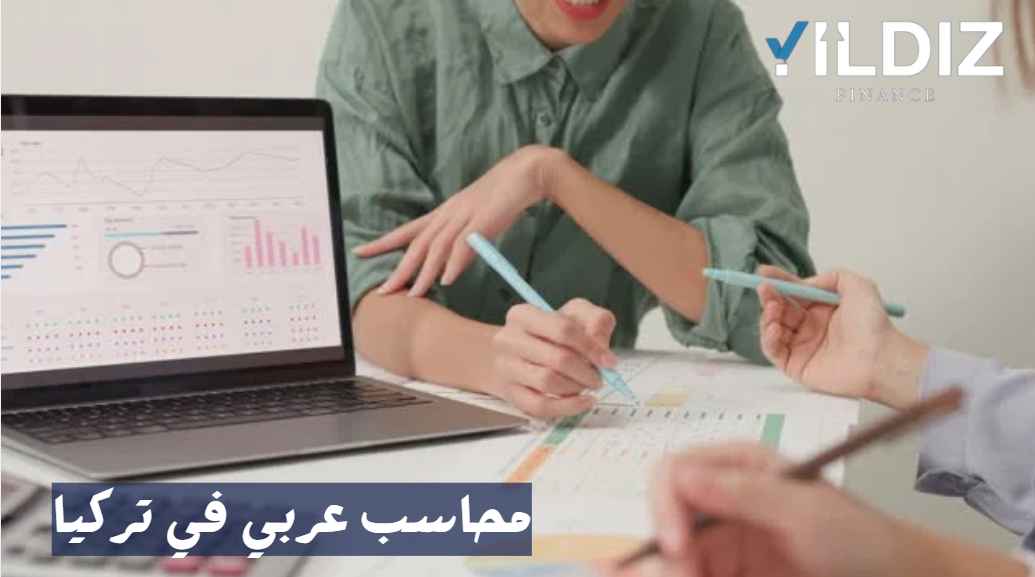 شركة مراجعة حسابات في تركيا