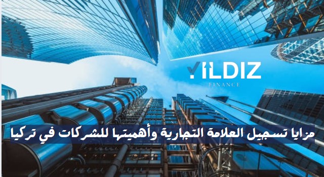 دراسة حالة: شركات ناجحة عززت مكانتها بفضل علامتها التجارية